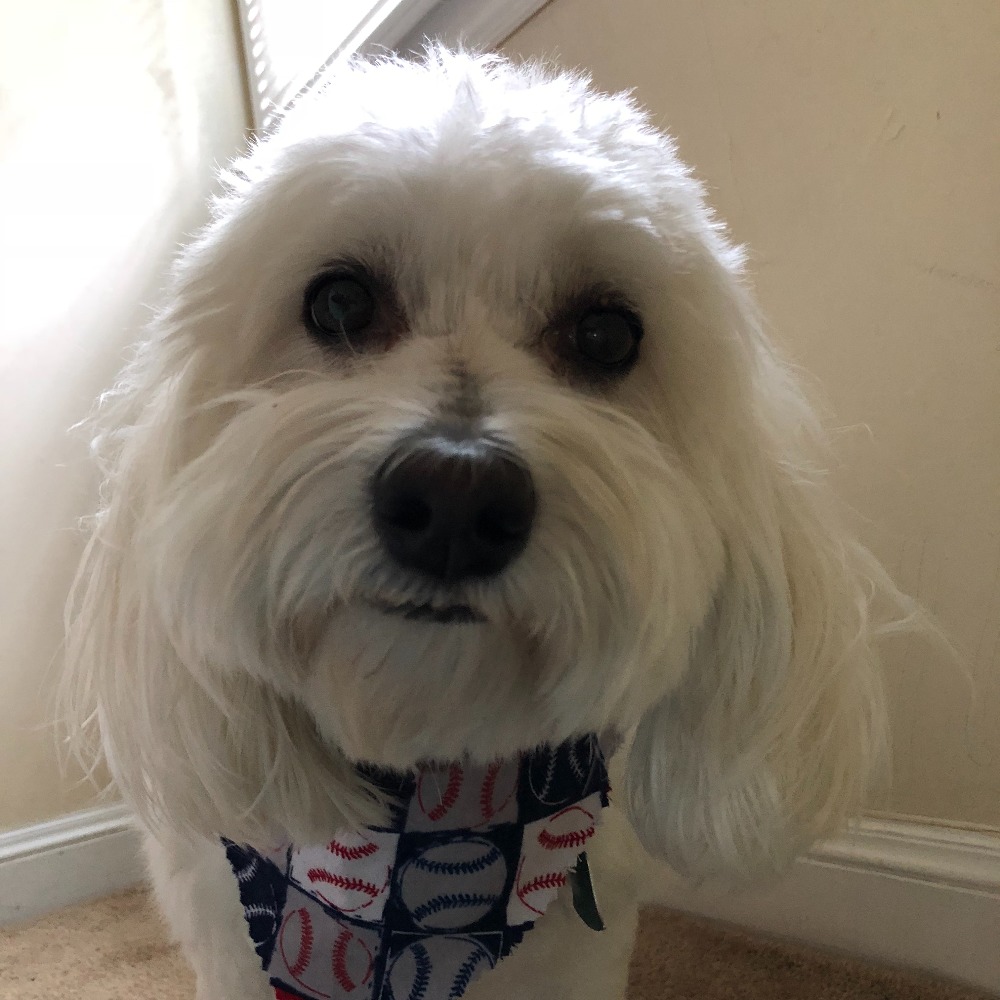 Meet your Posher, Shalika